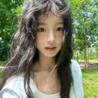 静静的白桦林